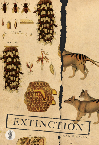 Imagen de portada: Extinction 1st edition 9781760621063