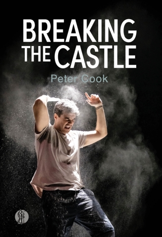 Imagen de portada: Breaking the Castle 1st edition 9781760628406
