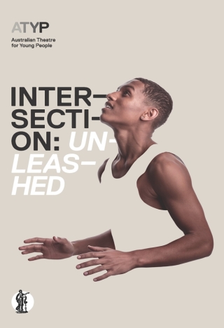 Imagen de portada: Intersection: Unleashed 1st edition 9781760627379