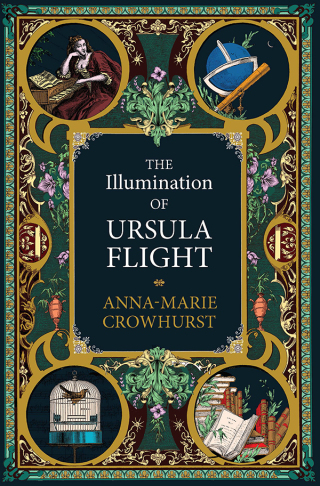 Cover image: The Illumination of Ursula Flight 9781760632229