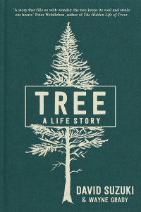 Cover image: Tree 2nd edition 9781760523770