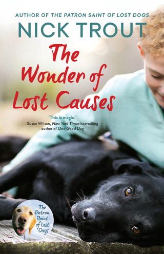 Cover image: The Wonder of Lost Causes 9781760527884