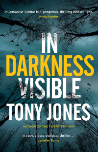 Cover image: In Darkness Visible 9781760295011