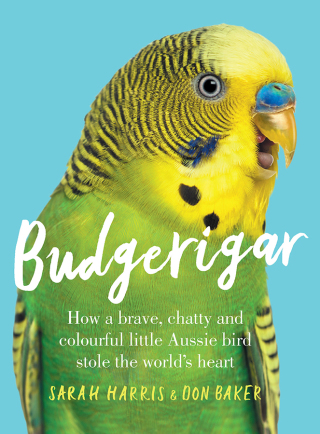 Cover image: Budgerigar 9781760875480