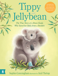 Cover image: Tippy and Jellybean - The True Story of a Brave Koala who Saved her Baby from a Bushfire 9781760878474