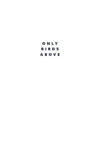 Imagen de portada: Only Birds Above 9781760990268