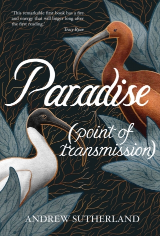 Imagen de portada: Paradise (point of transmission) 9781760991319