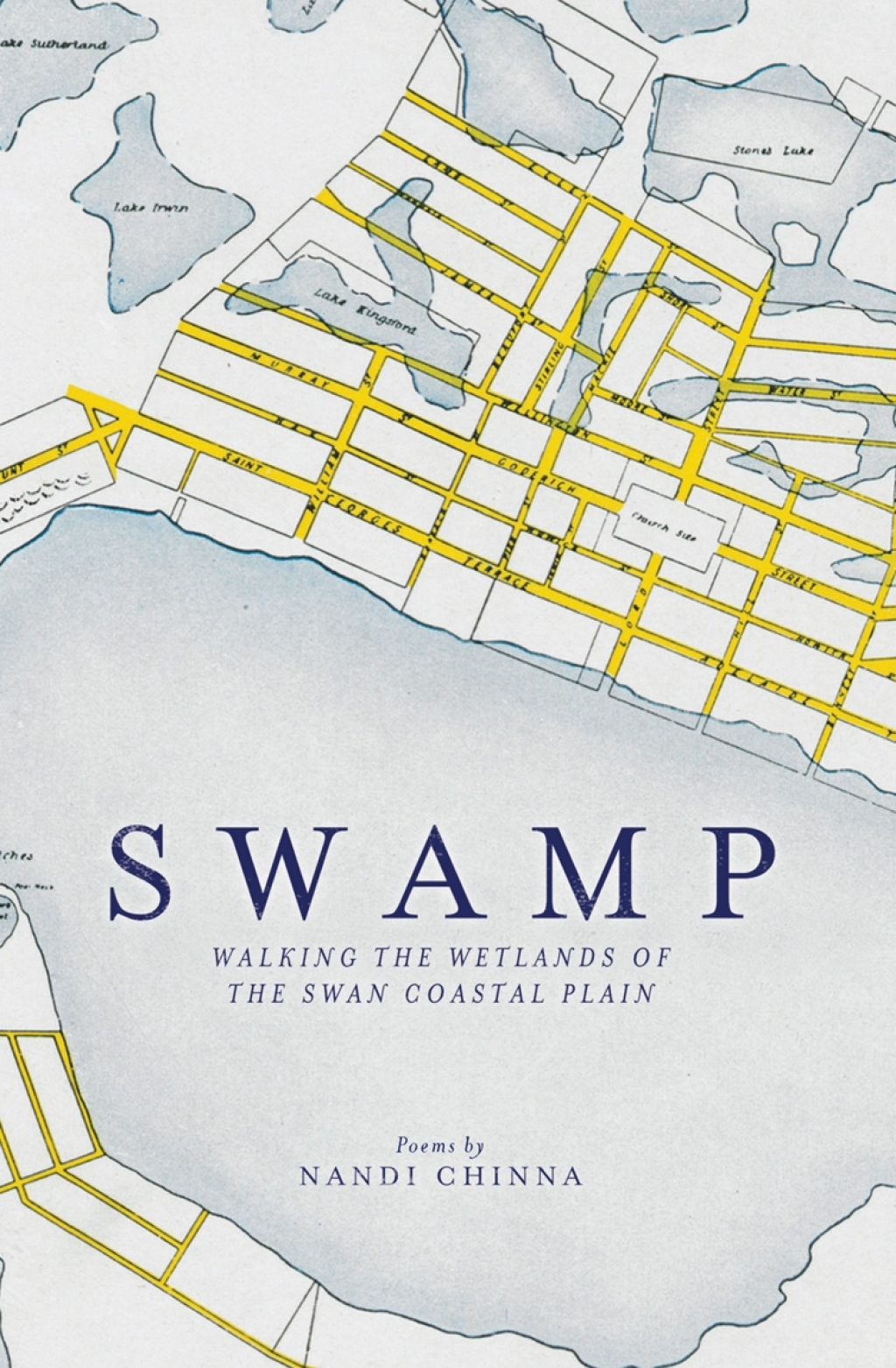 Swamp (eBook)