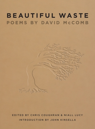 Cover image: Beautiful Waste 9781921361708