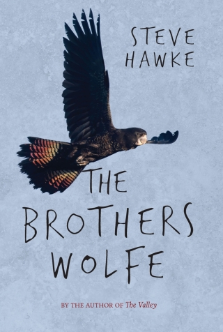 Imagen de portada: The Brothers Wolfe 9781760992279