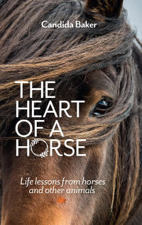 Cover image: The Heart of a Horse 9781922351234