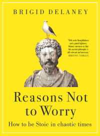 Cover image: Reasons Not to Worry 9781743310496