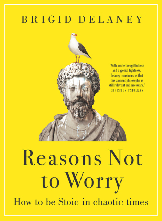 Titelbild: Reasons Not to Worry 9781743310496