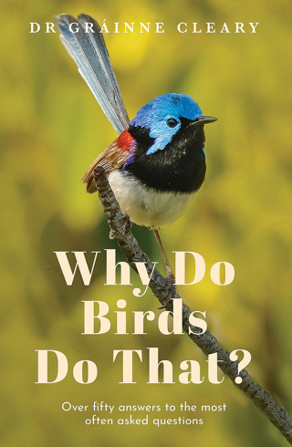 Imagen de portada: Why Do Birds Do That? 9781761067235