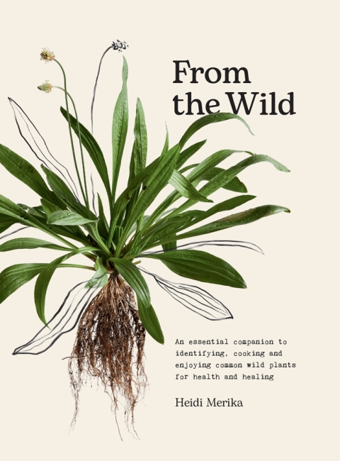 From the Wild: An essential companion to identifying, cooking and enjoying common wild plants for health and healing - FULL INSTANT DOWNLOAD | PDF DOCX EPUB