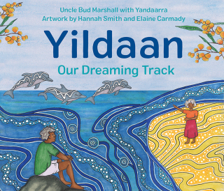 Imagen de portada: Yildaan 9781761181382