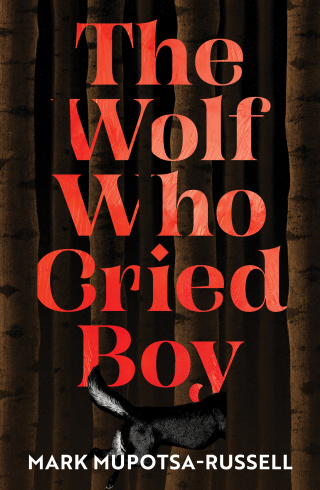 Cover image: The Wolf Who Cried Boy 9781923135673