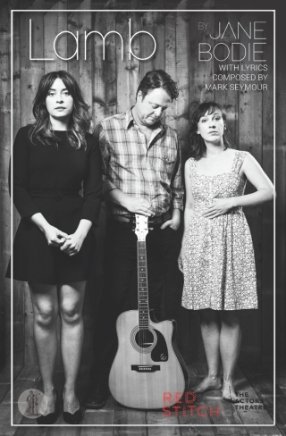 Imagen de portada: Lamb 1st edition 9781760622527