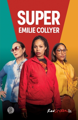 صورة الغلاف: Super 1st edition 9781760629786