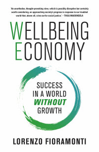 Immagine di copertina: Wellbeing Economy 1st edition 9781770105171