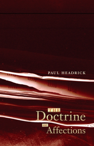 Imagen de portada: The Doctrine of Affections 9781551119786
