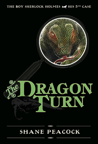 Cover image: The Dragon Turn 9781770492318