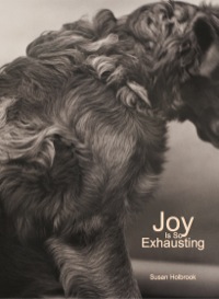 Immagine di copertina: Joy Is So Exhausting 9781552452226