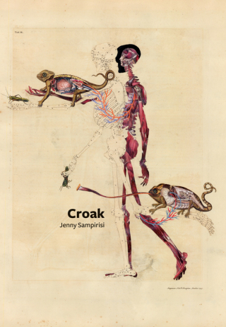 Imagen de portada: Croak 9781552452509