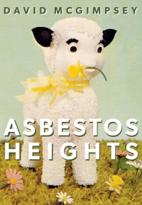 Titelbild: Asbestos Heights 9781552453094