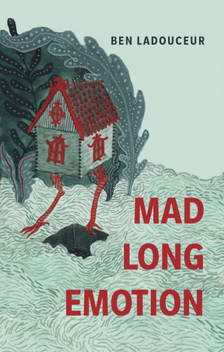Cover image: Mad Long Emotion 9781552453810
