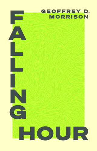 Imagen de portada: Falling Hour 9781552454466