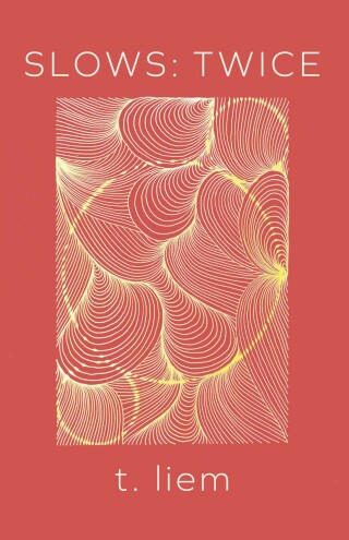 Cover image: Slows: Twice 9781552454619