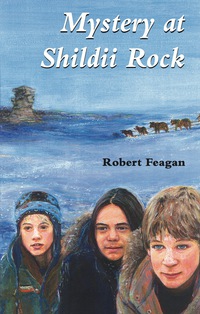 Cover image: Mystery at Shildii Rock 9781550026689