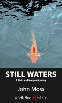 Cover image: Still Waters 9781550027907