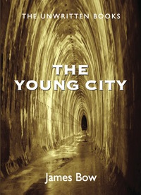 Immagine di copertina: The Young City 9781550028461