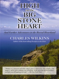 Titelbild: High on the Big Stone Heart 9781550028652