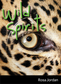 Titelbild: Wild Spirits 9781554887293