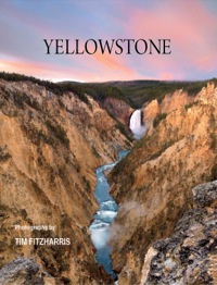 Cover image: Yellowstone 9781554077861