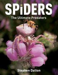 Imagen de portada: Spiders