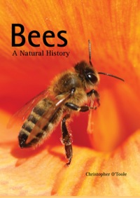 Cover image: Bees 9781770852082