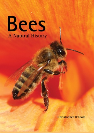 Cover image: Bees 9781770852082