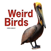 表紙画像: Weird Birds 9781770852969