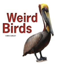 Omslagafbeelding: Weird Birds 9781770852969