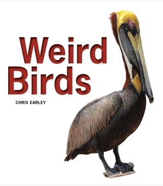Cover image: Weird Birds 9781770852969