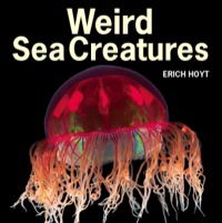 صورة الغلاف: Weird Sea Creatures 9781770851917