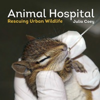Cover image: Animal Hospital 9781770855717