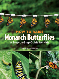 صورة الغلاف: How to Raise Monarch Butterflies 9781770850026