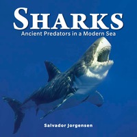 Cover image: Sharks 9781770852334