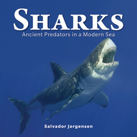 Cover image: Sharks 9781770852334