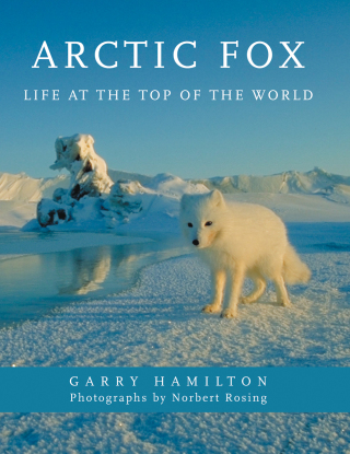 Cover image: Arctic Fox 9781554073412